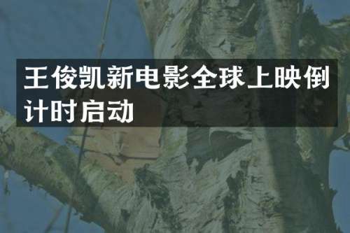 王俊凯新电影全球上映倒计时启动