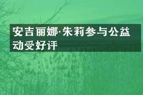 安吉丽娜·朱莉参与公益活动受好评