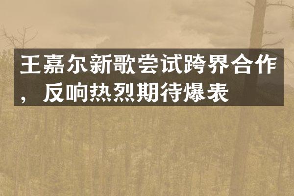 王嘉尔新歌尝试跨界合作，反响热烈期待爆表