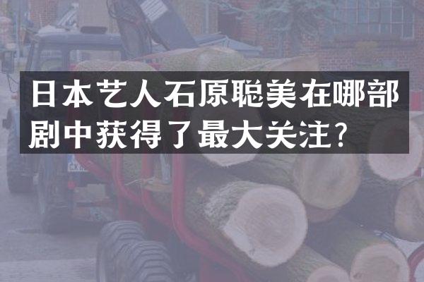 日本艺人石原聪美在哪部剧中获得了最大关注?