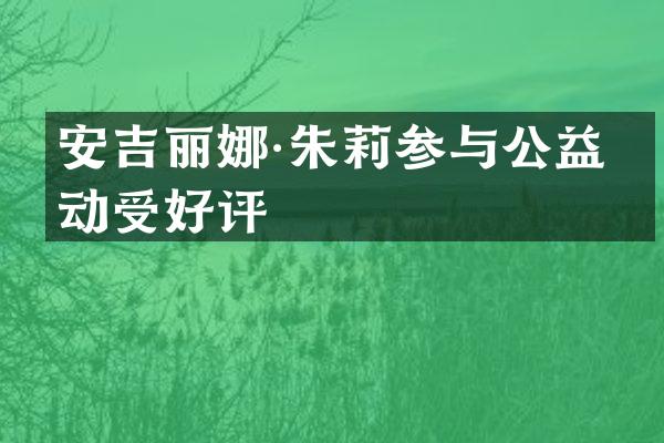 安吉丽娜·朱莉参与公益活动受好评