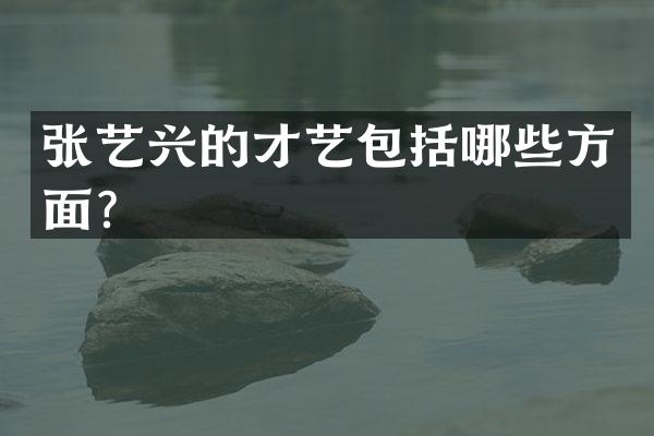张艺兴的才艺包括哪些方面？
