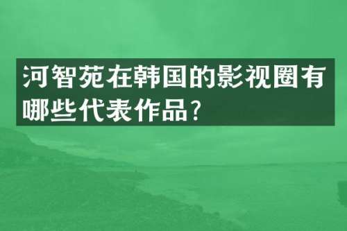 河智苑在韩国的影视圈有哪些代表作品？