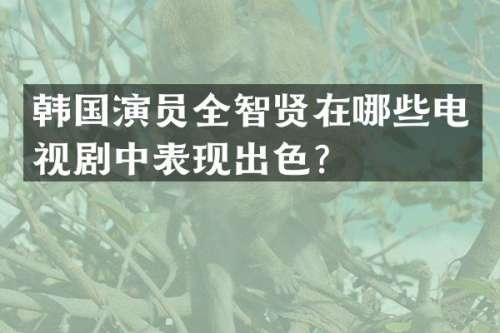 韩国演员全智贤在哪些电视剧中表现出色？