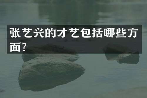 张艺兴的才艺包括哪些方面？