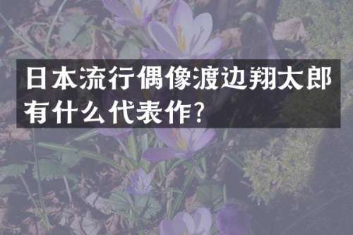 日本流行偶像渡边翔太郎有什么代表作？