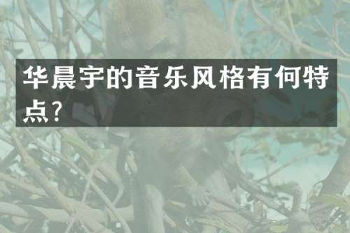 华晨宇的音乐风格有何特点？