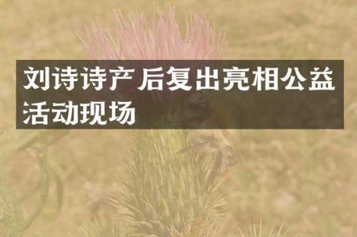 刘诗诗产后复出亮相公益活动现场