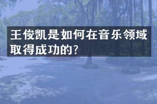 王俊凯是如何在音乐领域取得成功的？
