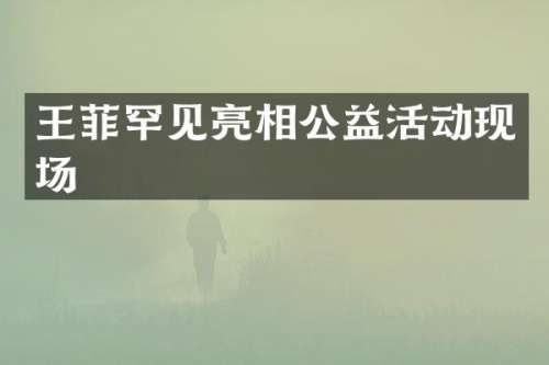 王菲罕见亮相公益活动现场