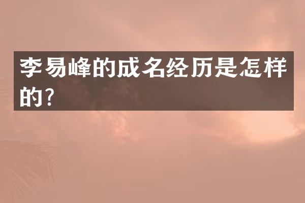 李易峰的成名经历是怎样的？