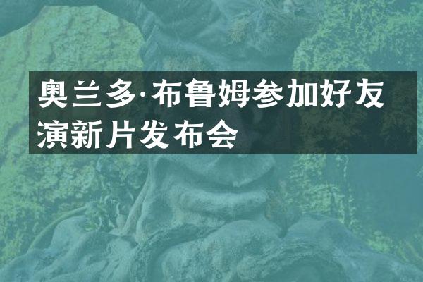 奥兰多·布鲁姆参加好友导演新片发布会