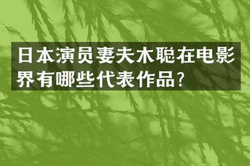 日本演员妻夫木聪在电影界有哪些代表作品？