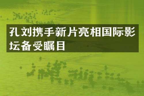孔刘携手新片亮相国际影坛备受瞩目