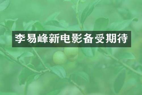 李易峰新电影备受期待