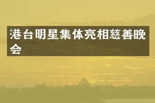 港台明星集体亮相慈善晚会