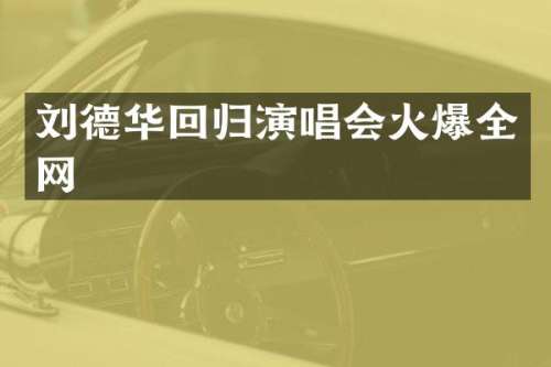 刘德华回归演唱会火爆全网
