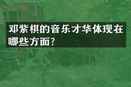邓紫棋的音乐才华体现在哪些方面？