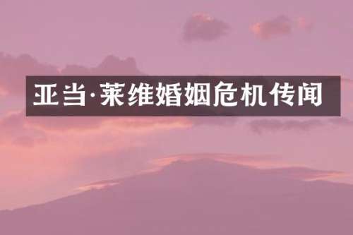 亚当·莱维婚姻危机传闻