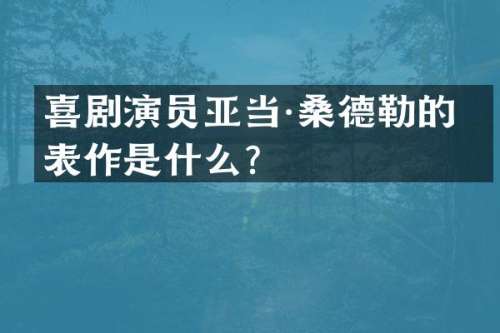喜剧演员亚当·桑德勒的代表作是什么？