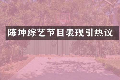 陈坤综艺节目表现引热议
