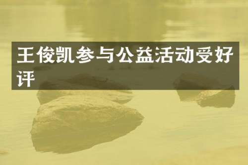 王俊凯参与公益活动受好评