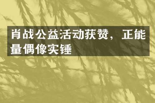 肖战公益活动获赞，正能量偶像实锤