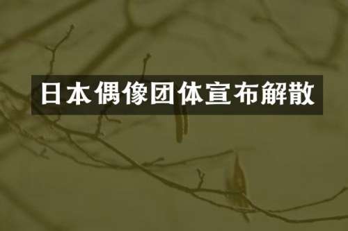 日本偶像团体宣布解散