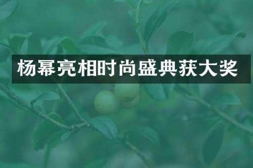杨幂亮相时尚盛典获大奖