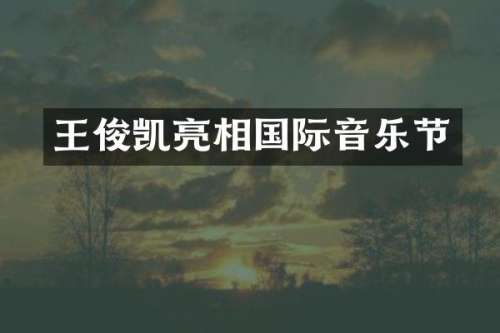 王俊凯亮相国际音乐节