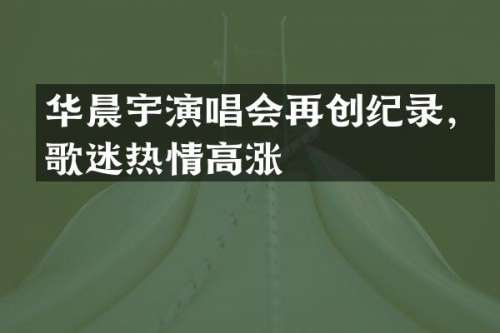 华晨宇演唱会再创纪录，歌迷热情高涨
