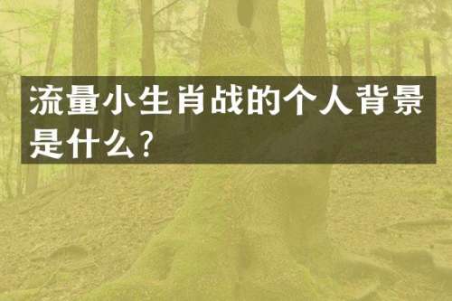 流量小生肖战的个人背景是什么？
