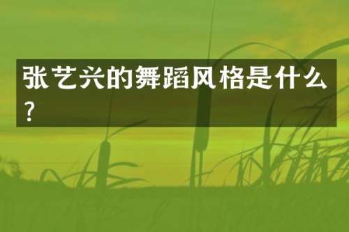 张艺兴的舞蹈风格是什么？