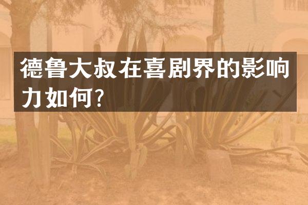 德鲁大叔在喜剧界的影响力如何？
