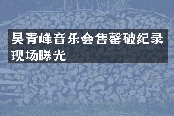 吴青峰音乐会售罄破纪录现场曝光