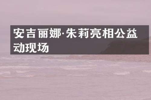 安吉丽娜·朱莉亮相公益活动现场