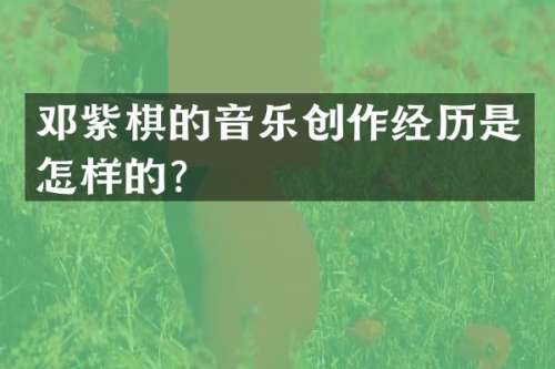 邓紫棋的音乐创作经历是怎样的？