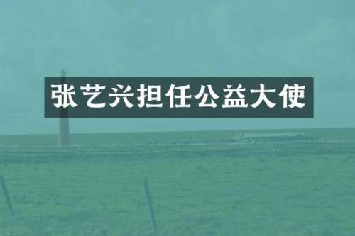 张艺兴担任公益大使