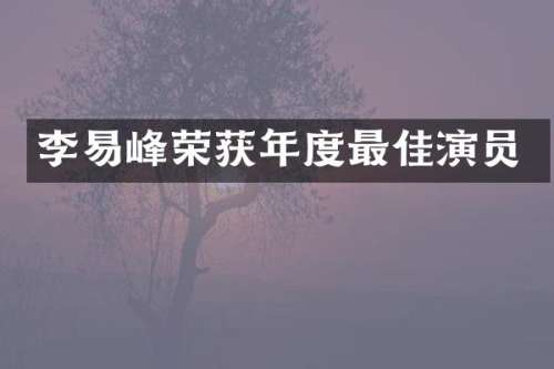 李易峰荣获年度最佳演员
