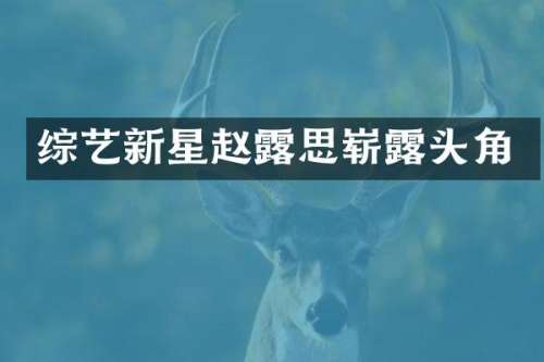 综艺新星赵思崭头角