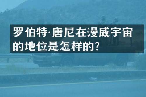 罗伯特·唐尼在漫威宇宙中的地位是怎样的？