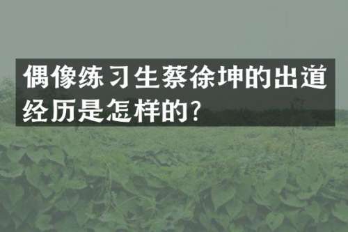 偶像练习生蔡徐坤的出道经历是怎样的？