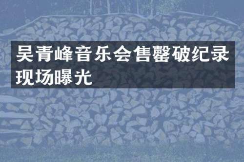 吴青峰音乐会售罄破纪录现场曝光
