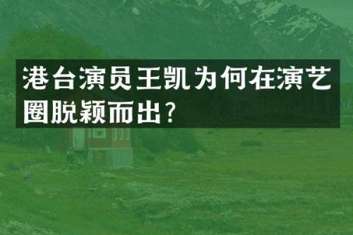 港台演员王凯为何在演艺圈脱颖而出？