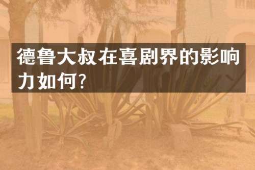 德鲁大叔在喜剧界的影响力如何？