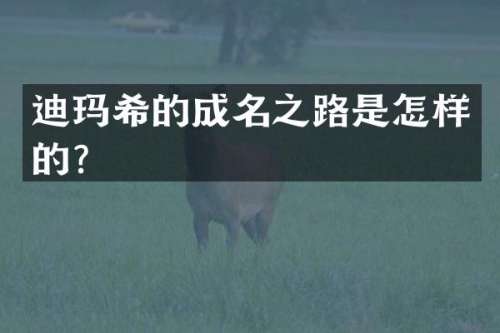 迪玛希的成名之路是怎样的？