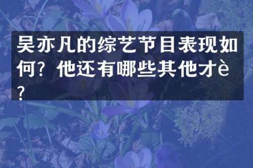 吴亦凡的综艺节目表现如何？他还有哪些其他才艺？