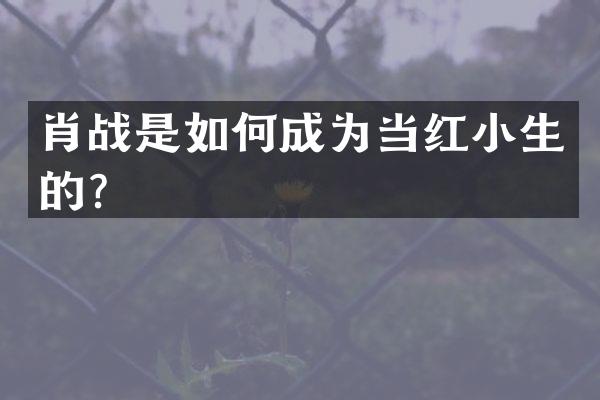 肖战是如何成为当红小生的？