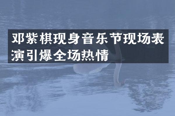 邓紫棋现身音乐节现场表演全场热情
