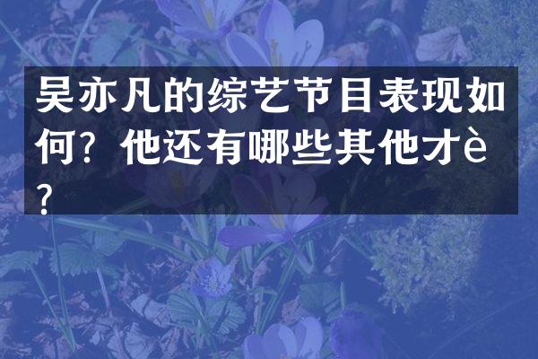 吴亦凡的综艺节目表现如何？他还有哪些其他才艺？